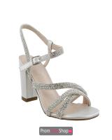 Silver Shimmer